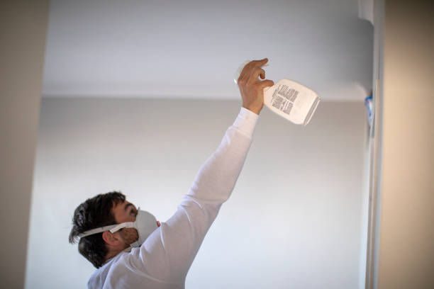 Professional Mold Removal in Park City, KS