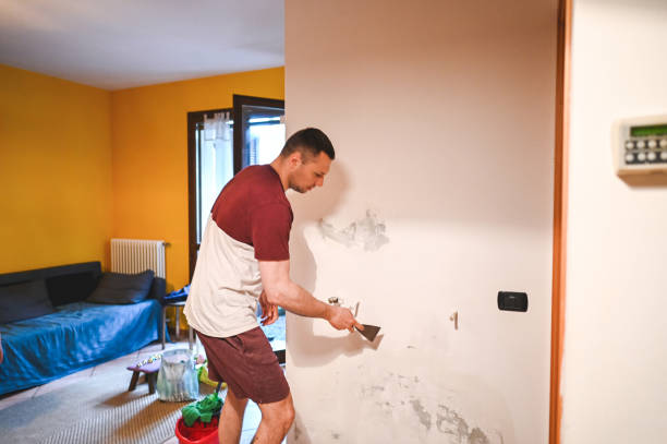 Best Water Damage Restoration  in Park City, KS